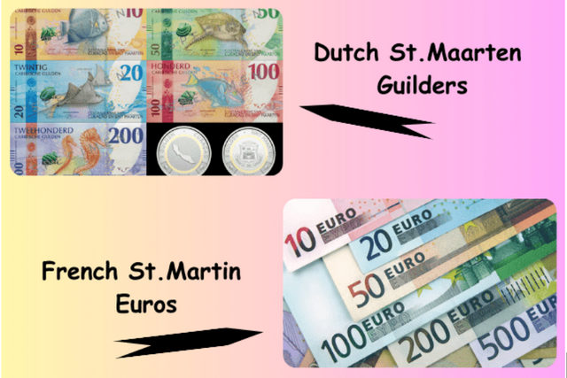 Currency of Sint Maarten: What Money Do They Use?