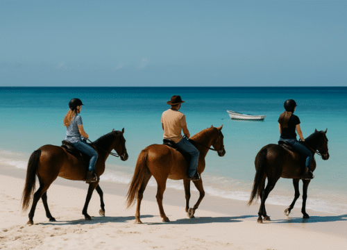 Unforgettable St Maarten Horseback Riding Adventures