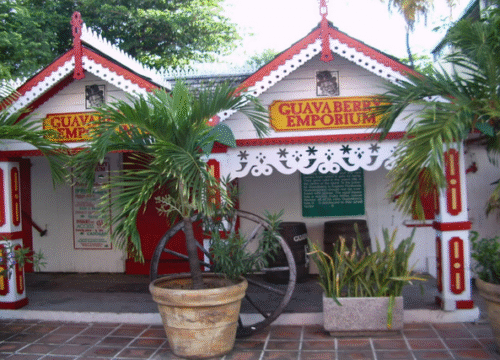 Guavaberry St Maarten: The Island’s Signature Spirit with a Story to Tell