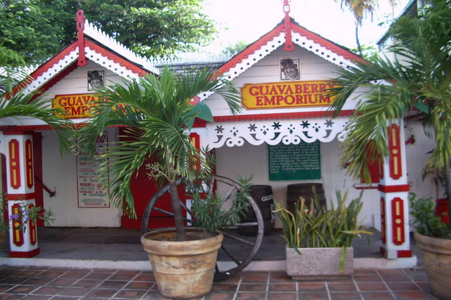 Guavaberry St Maarten: The Island’s Signature Spirit with a Story to Tell