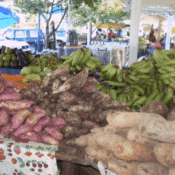 Marigot Market