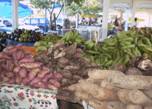 A Local’s Guide to Marigot Market: Color, Culture, & Creole Flavor