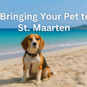 bringing pets to St Maarten