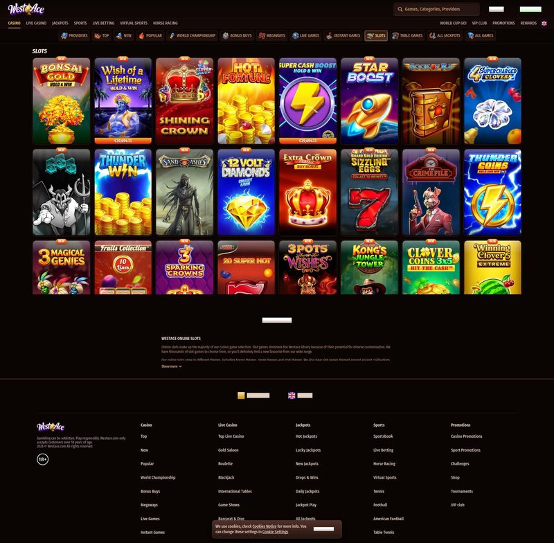 Finish the Day with a Winning Spin - overview
